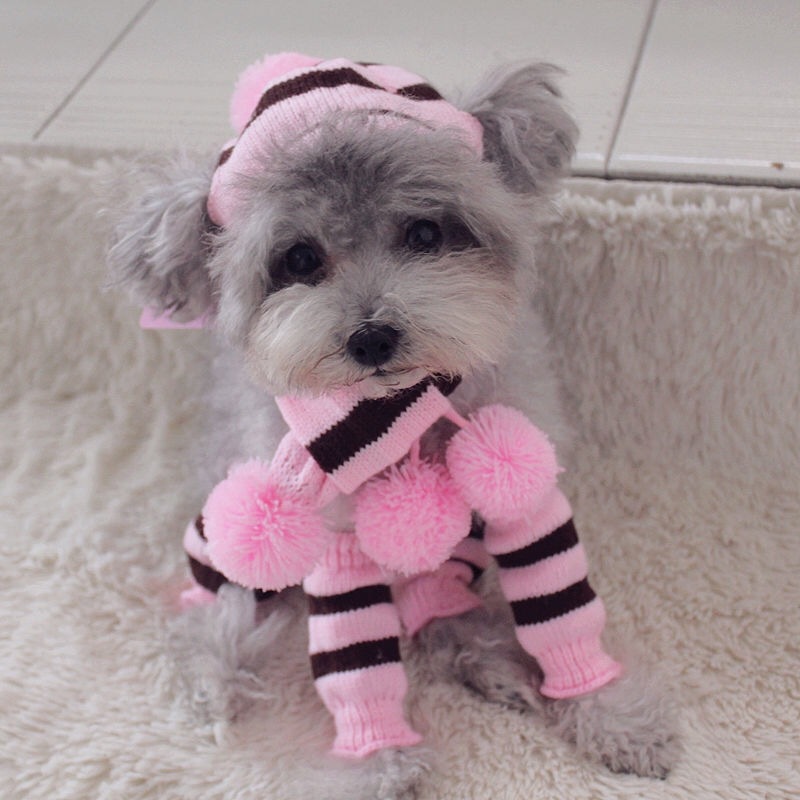 Gökkuşağı Desenli Örgü Köpek K - Winter Clothing Leg Warmers incelemesi ve fiyatı