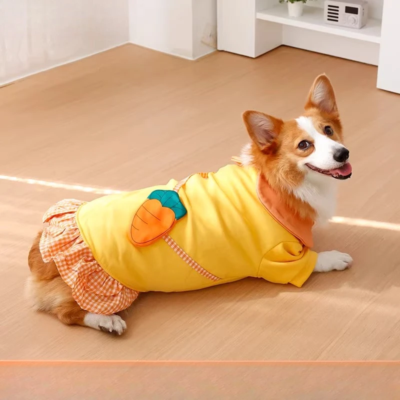 Köpek kıyafetleri - İki bacakl - Winter Clothing Leg Warmers incelemesi ve fiyatı