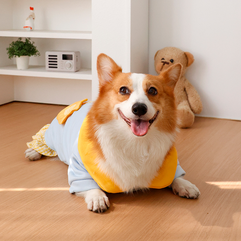 Köpek kıyafetleri - İki bacakl - Winter Clothing Leg Warmers incelemesi ve fiyatı