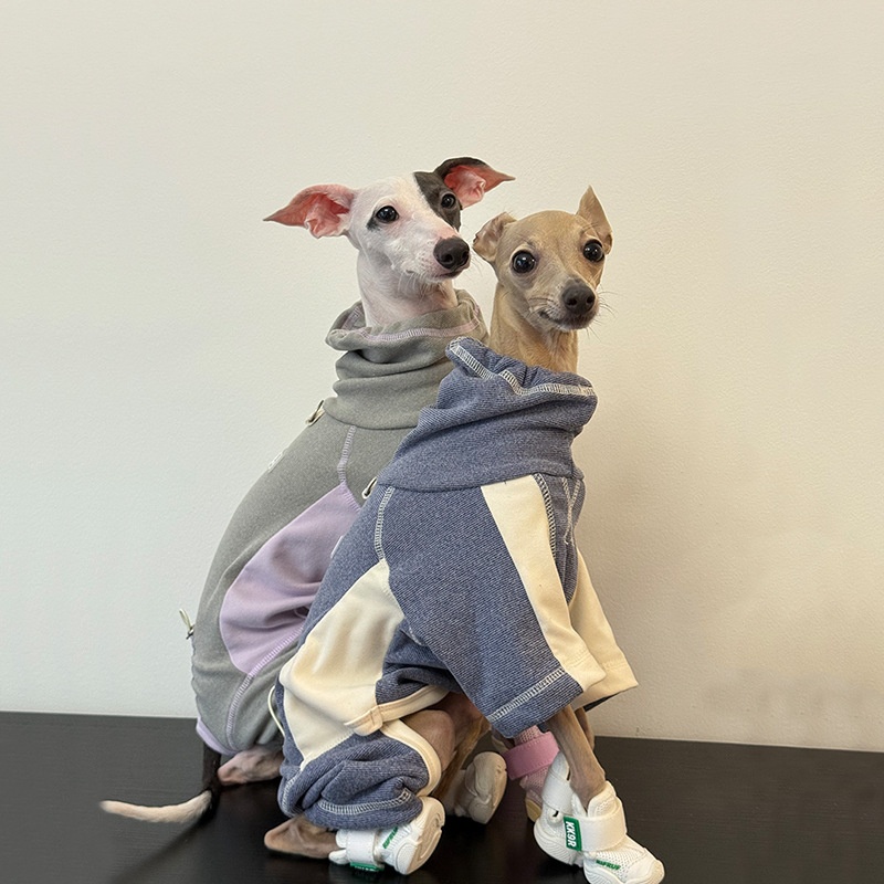 Sonbahar ve Kış için Köpek Kıy - Winter Clothing Leg Warmers incelemesi ve fiyatı