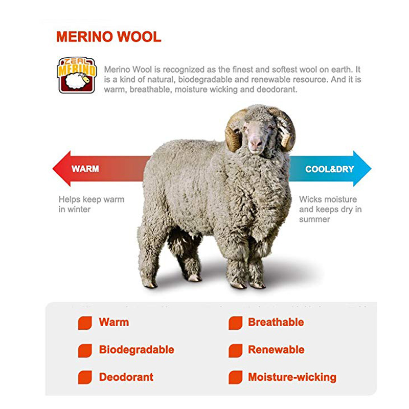 ZEALWOOD yürüyüş Trekking erke - Thermal Sock Merino incelemesi ve fiyatı